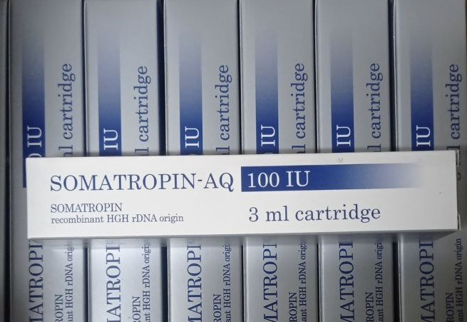 Somatropin-AQ 100 ед. (3 мл катридж)