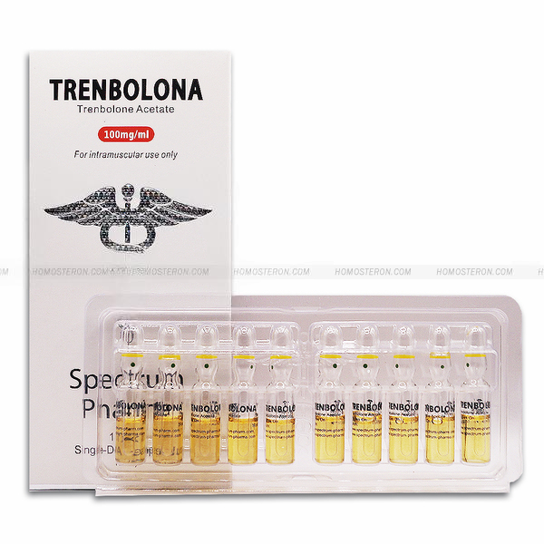 TRENBOLON A 10 мл 100 мг/мл